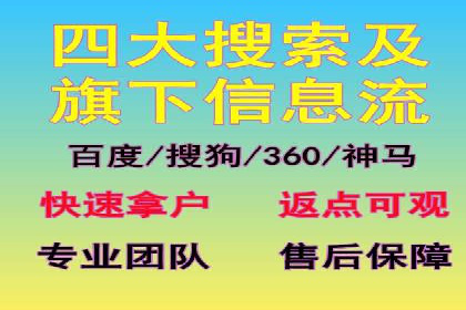 搜索引擎优化（SEO）与竞价广告（SEM）的对比案例